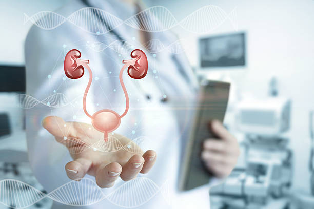 Modern Urology Uncovered: Innovations in Diagnosis, Surgery, and Quality of Life