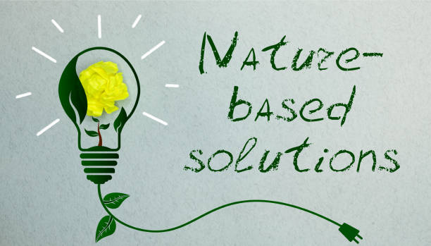 New Dentures, New Confidence: Natural-Looking Solutions for a Better Life