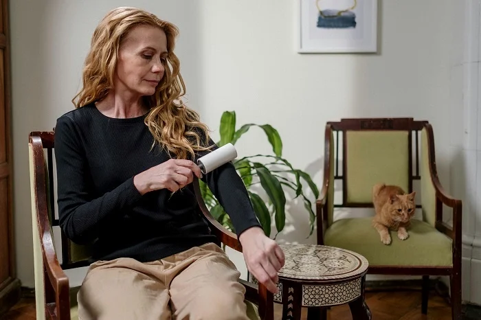 Pet Hair Remover – Practical Tools for Pet Parents