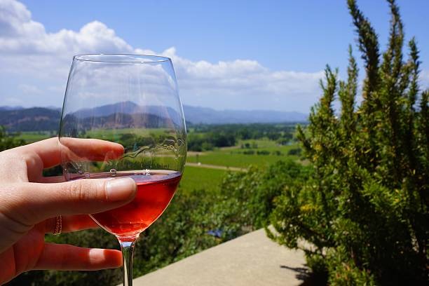 Planning the Perfect Wine Tasting Vacation in Napa Valley