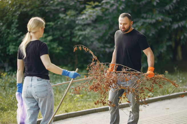 Professional vs. DIY Tree Removal: Why Professional One Is Safer