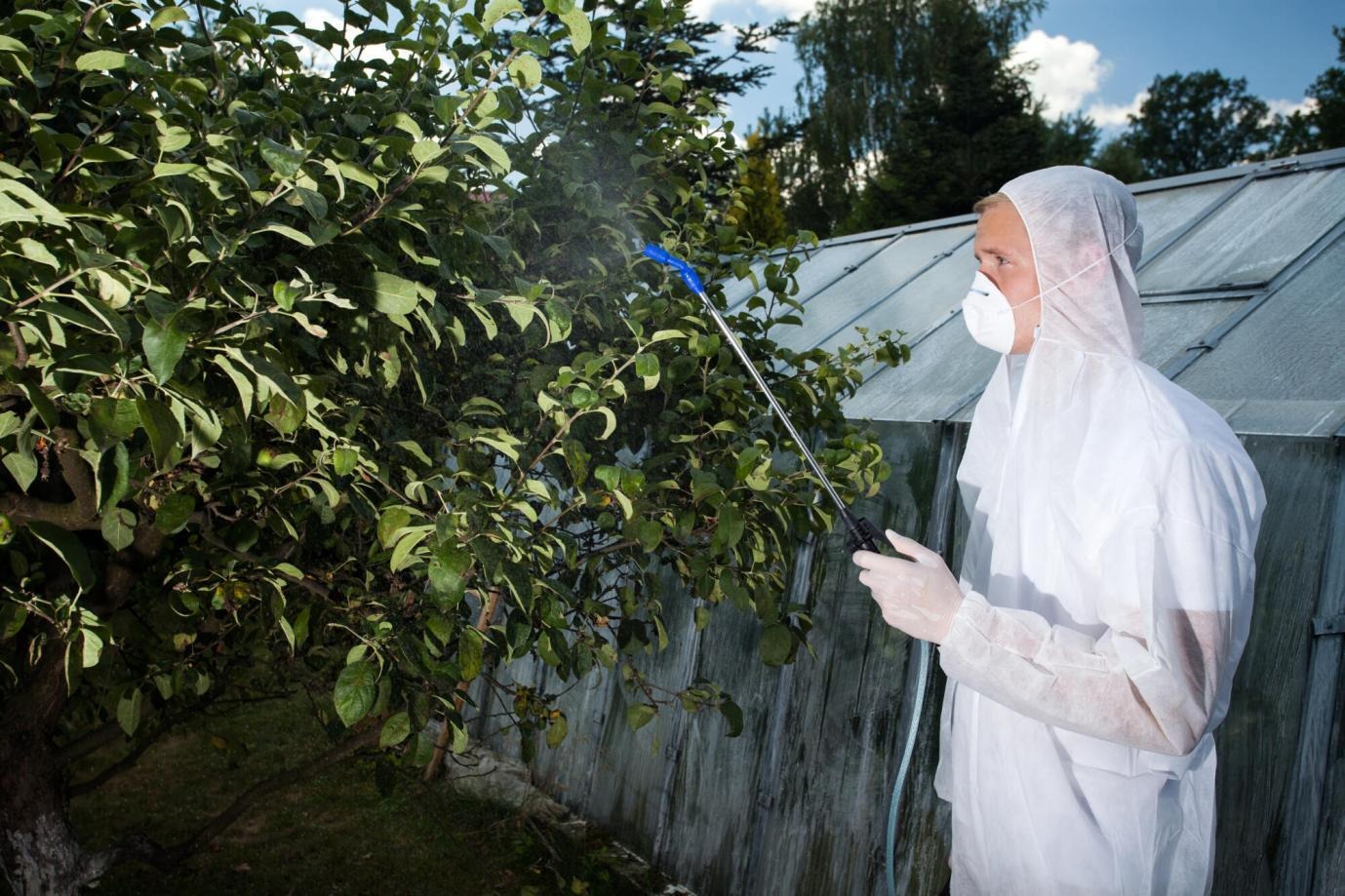 Reliable Pest Control Services to Protect Your Property