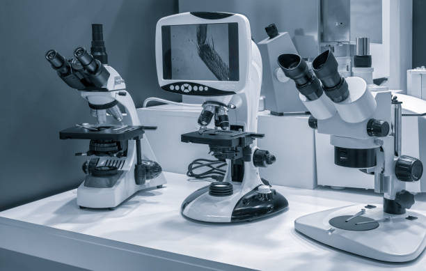 SEM vs. Optical Microscopy: When You Need One Over the Other