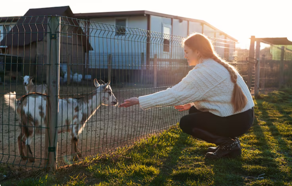 Settling Who Pays Before The Shared Fence Comes Down