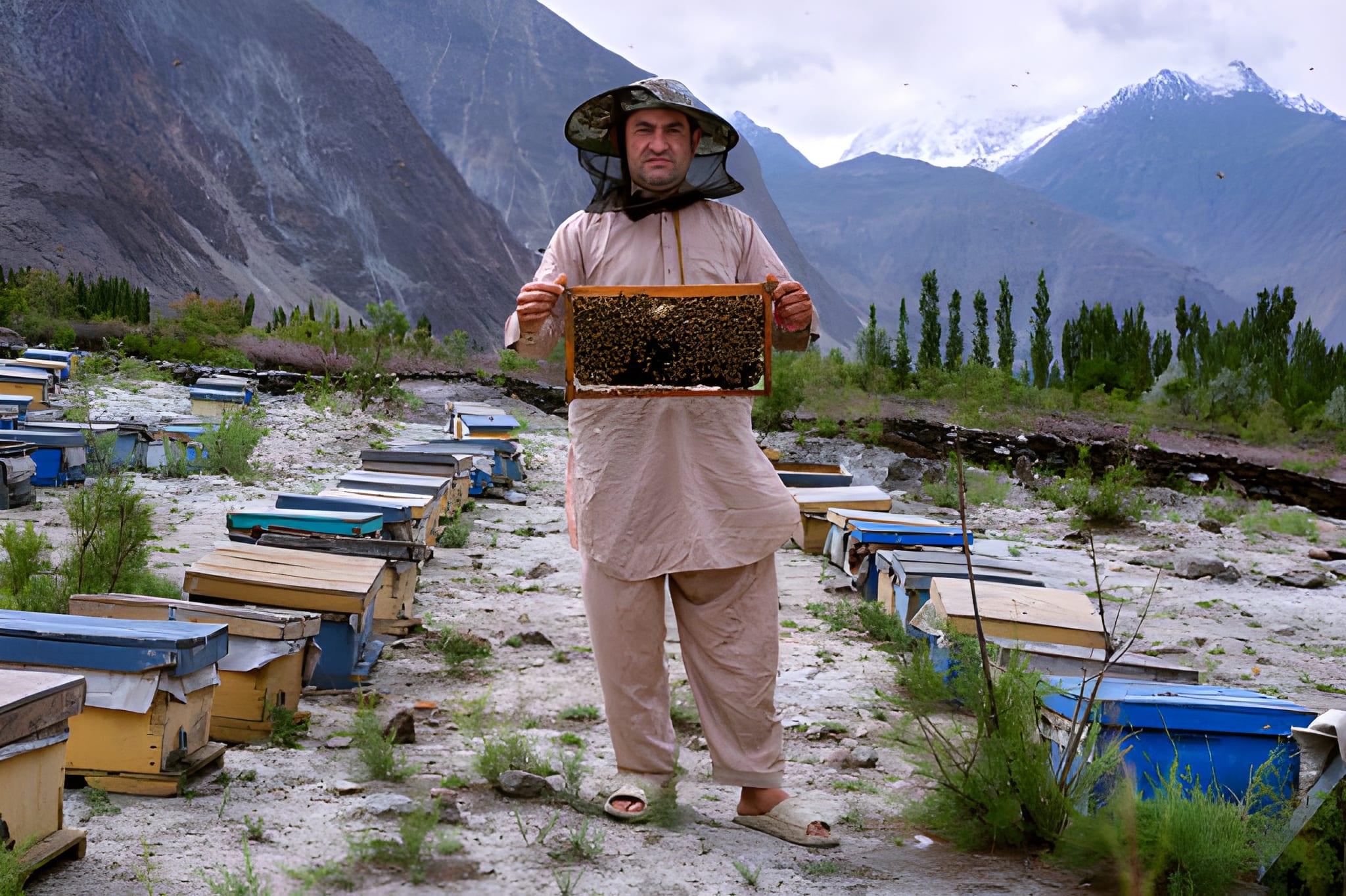 Sustainable Practices in Classic Car Restoration: Eco-Friendly Materials and Techniques