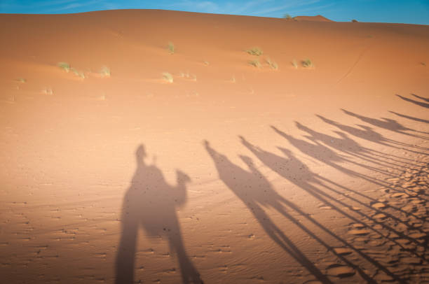 Tailor-Made Tours Morocco: Your Gateway to an Unforgettable North African Adventure