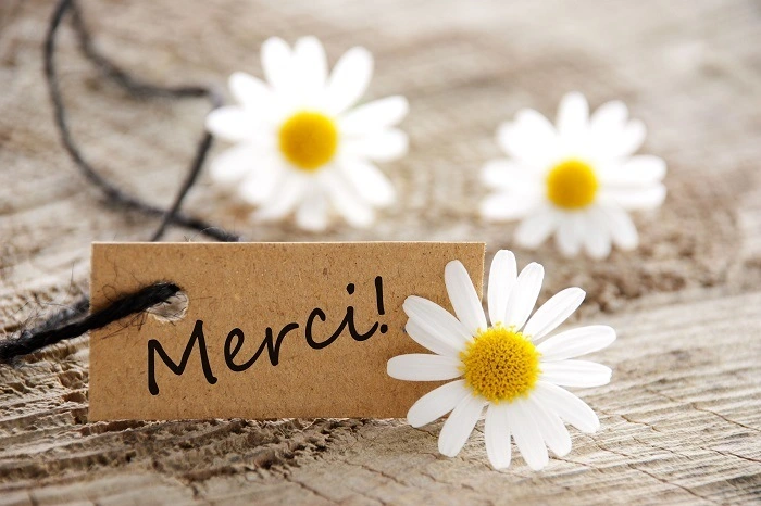 60+ Ways to Say Thank You in French in Every Situation