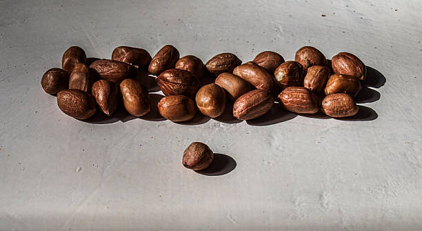The Best Organic Dark Roast Coffee Brands in 2026: Expert Picks for Bold, Flavorful Coffee