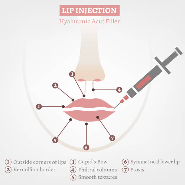 The Science Behind Lip Fillers: Understanding the Process and Benefits