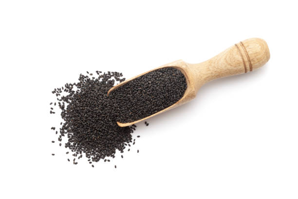 Top Rated Seed Bank Sacred Seeds Australia Delivers Clean Genetics and No Bloat