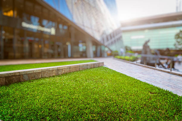 Transforming Spaces: The Rise of Commercial Artificial Grass Installation