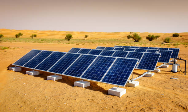 What You Need to Know Before Investing in Solar Projects in the UAE