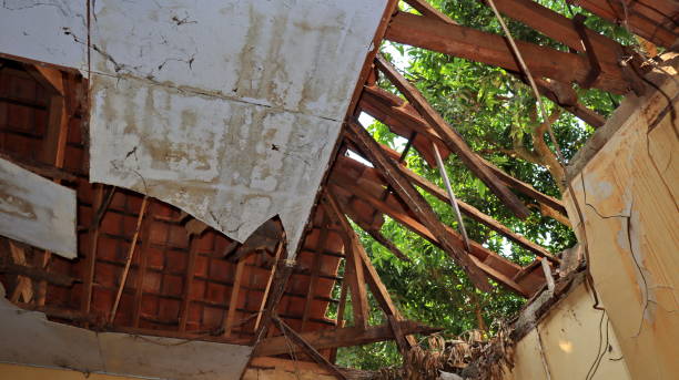 When Roof Repair Becomes Essential for Preventing Structural Damage