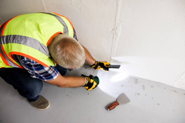 When To Call a Professional for Basement Repair Services