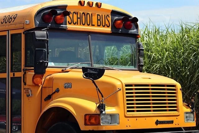 Which States Require School Bus Seat Belts?