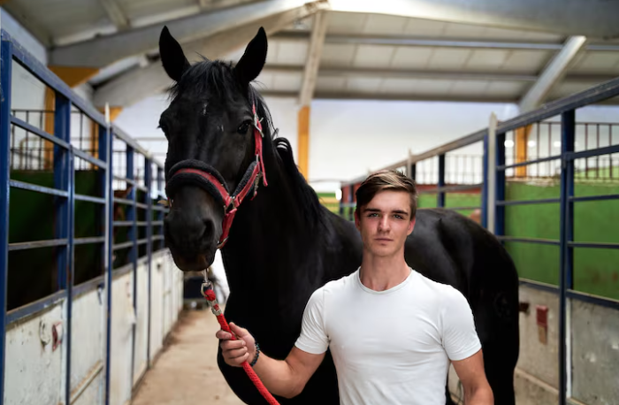 Why Sports Coaches Are Exploring Happy Horse to Produce Motivational Training Highlight Videos